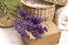 Aromatherapy